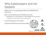  Why Cystoisospora