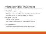  Microsporidia 