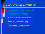 The Parasitic Helminths