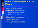 Major Intestinal Helminths