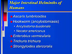 Major Intestinal Helminths