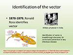 Identification of the vector