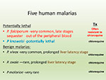 Five human malarias