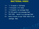 Bacterial Index