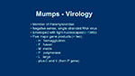 Mumps Virology