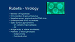Rubella Virology