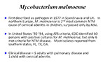 Mycobacterium malmoense