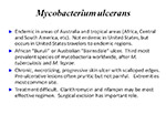  Mycobacterium  ulcerans