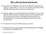Mycobacterium marinum