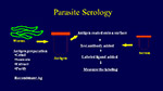 Parasiite Serology