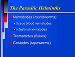 The Parasitic Helminths