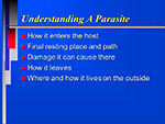 Understanding A Parasite