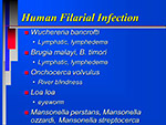 Human Filarial Infection