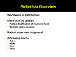 Rickettsia Overview
