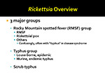 Rickettsia Overview