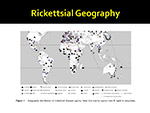  Rickettsial  Geography