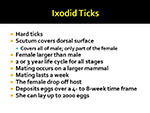 Ixodid Ticks