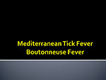 Mediterranean Tick Fever