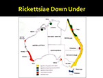 Rickettsiae Down Under