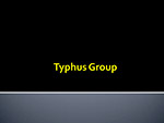 Typhus Group