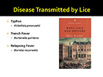 Disease Transmitted by Lice