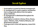  Scrub Typhus 