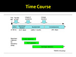 Time course