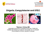  Shigella 