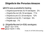 Shigella