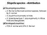  Shigella species 
