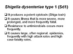  Shigella dysenteriae