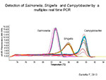 Detection of salmonella