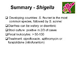 Summary Shigella