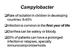  Campylobacter 