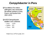 Campylobacter in Peru