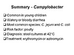 Summary Campylobacter