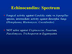  Echinocandins 