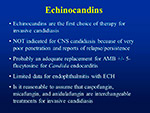  Echinocandins 