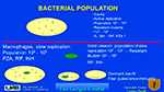 Bacterial Population