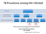 TB prevalence