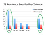 TB Prevalence