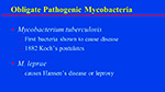Obligate Pathogenic Mycobacteria