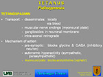  Tetanus 