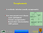 Toxoplasmosis