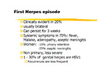 First Herpes episode