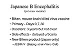 Japanese B Encephalitis