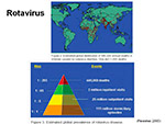 Rotavirus