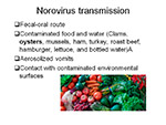 Norovirus transmission