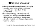 Norovirus vaccines