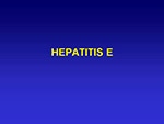 Hepatitis  E
